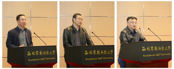 7310ec8725344db7baf616041afc3052.jpg 321A9042_副本.jpg