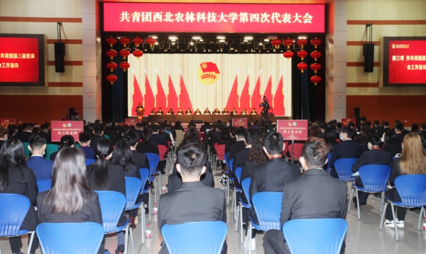 1df0e87581d44a65a351e1f9c057dff6.jpg IMG_1168_副本.jpg