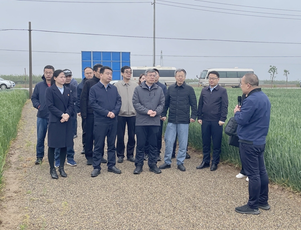 df1fab801fbc41ee919f8e4c2917b661.jpg 在学校旱作小麦示范田调研_副本.jpg